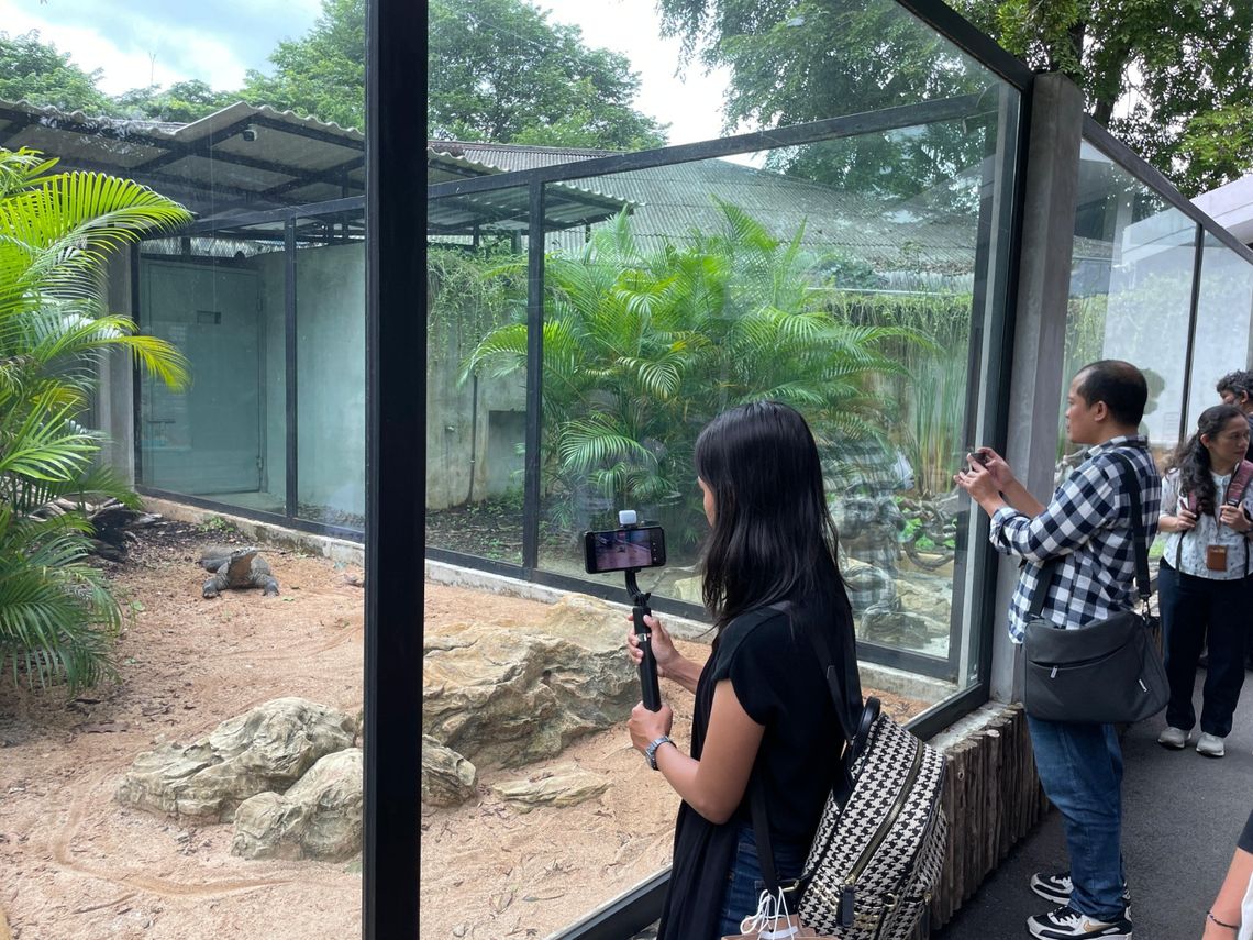 whatsapp image 2024 12 05 at 16 17 36