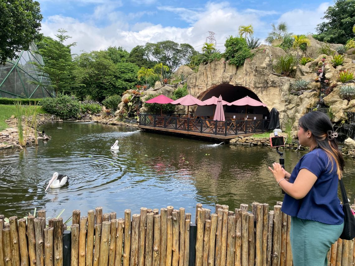 whatsapp image 2024 12 05 at 16 27 35