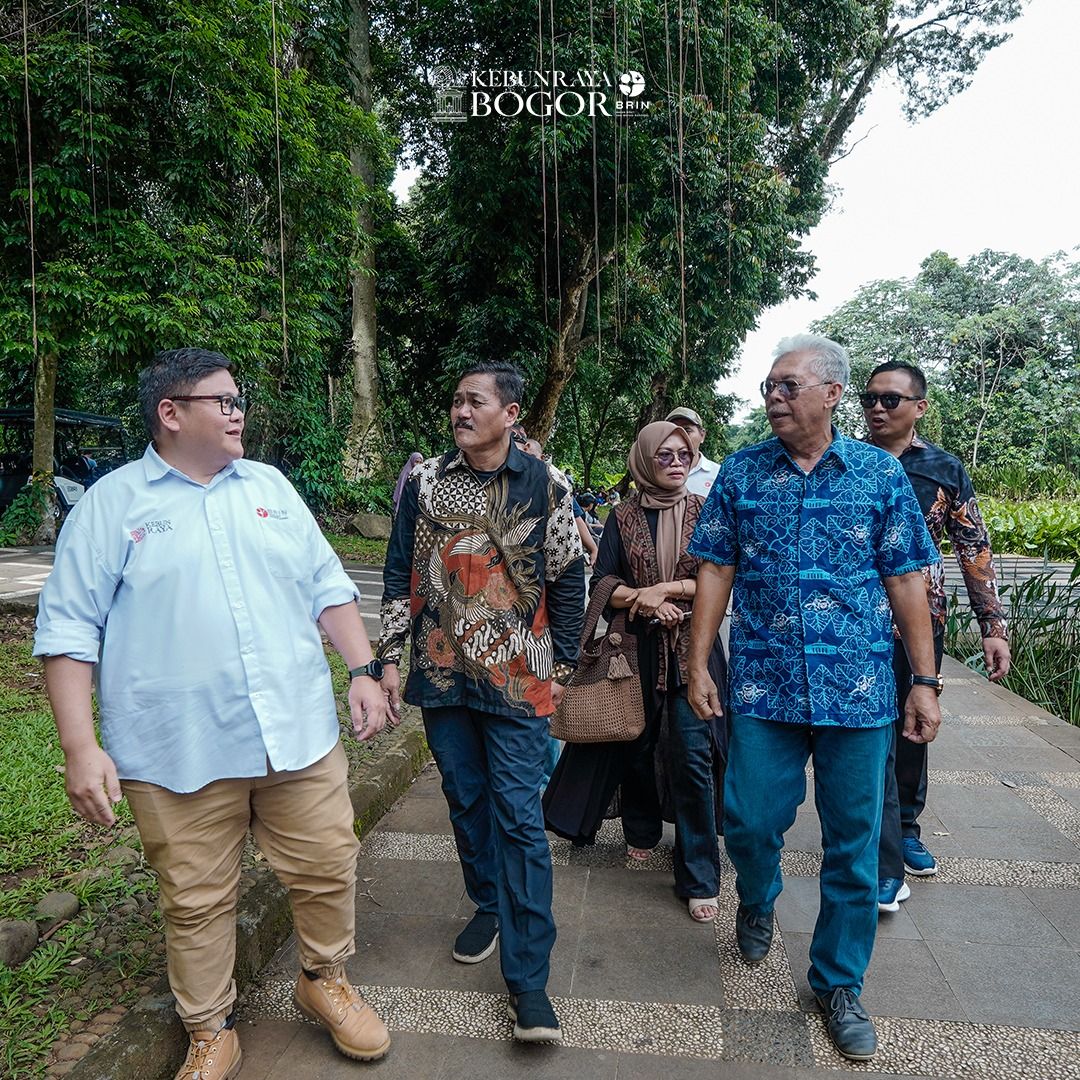 whatsapp image 2024 12 31 at 11 14 12 2