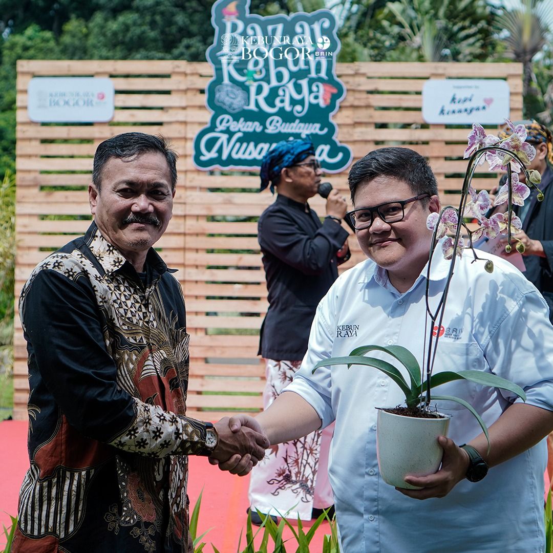 whatsapp image 2024 12 31 at 11 14 12 1