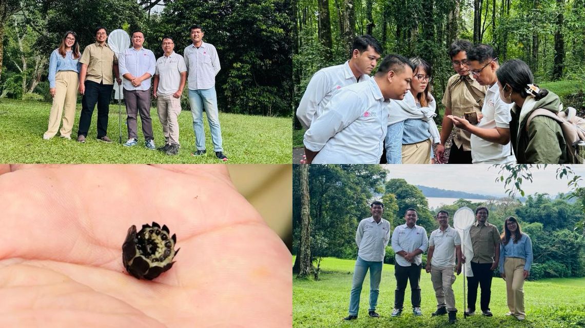 whatsapp image 2026 01 02 at 11 22 12